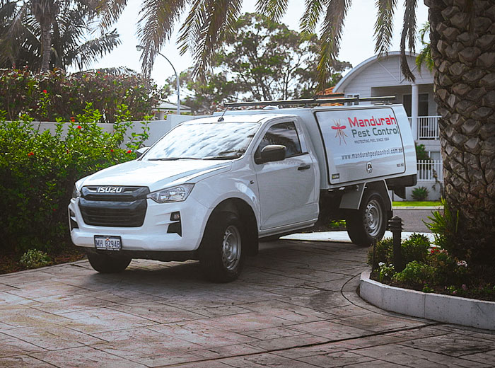Car Mandurah Pest Control