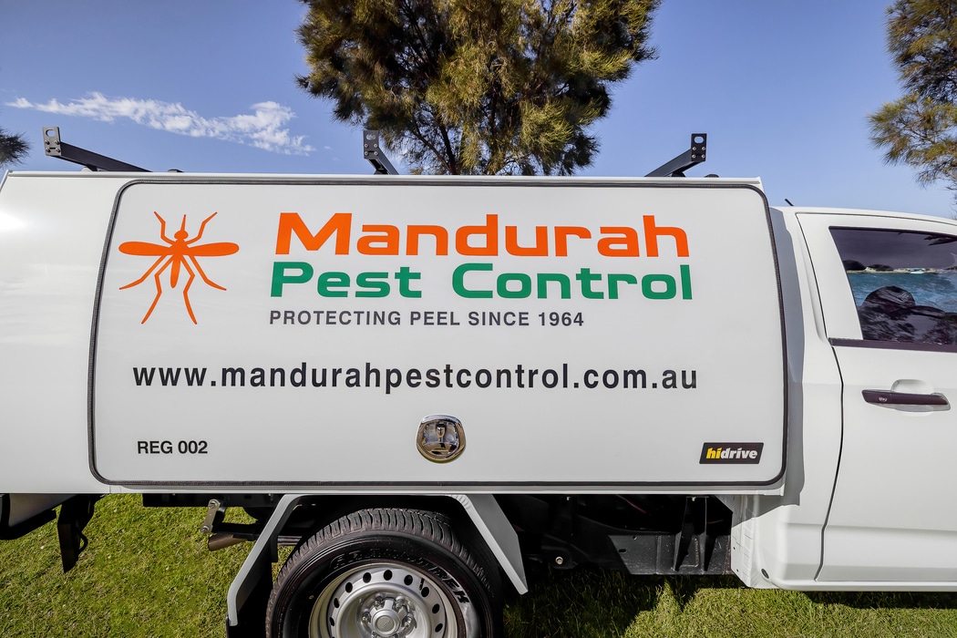bed bug extermination mandurah
