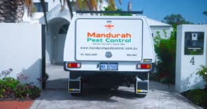 carcass disposal mandurah