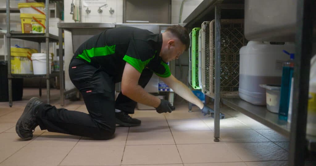 commercial pest management mandurah