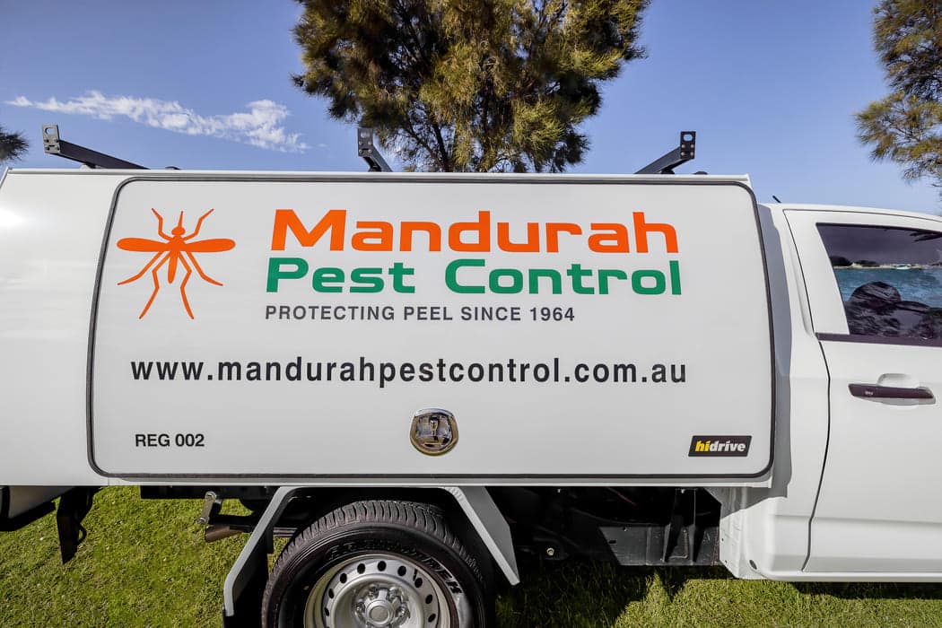dead pest removal mandurah