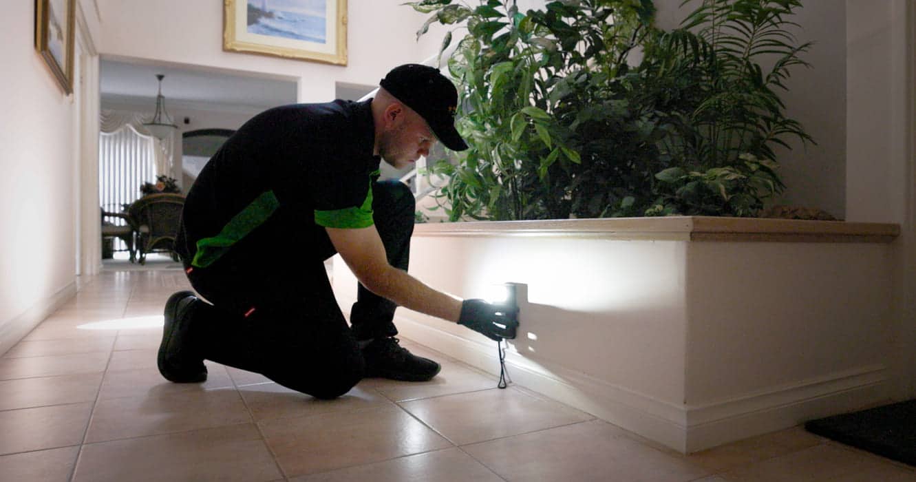 exterminator mandurah parth