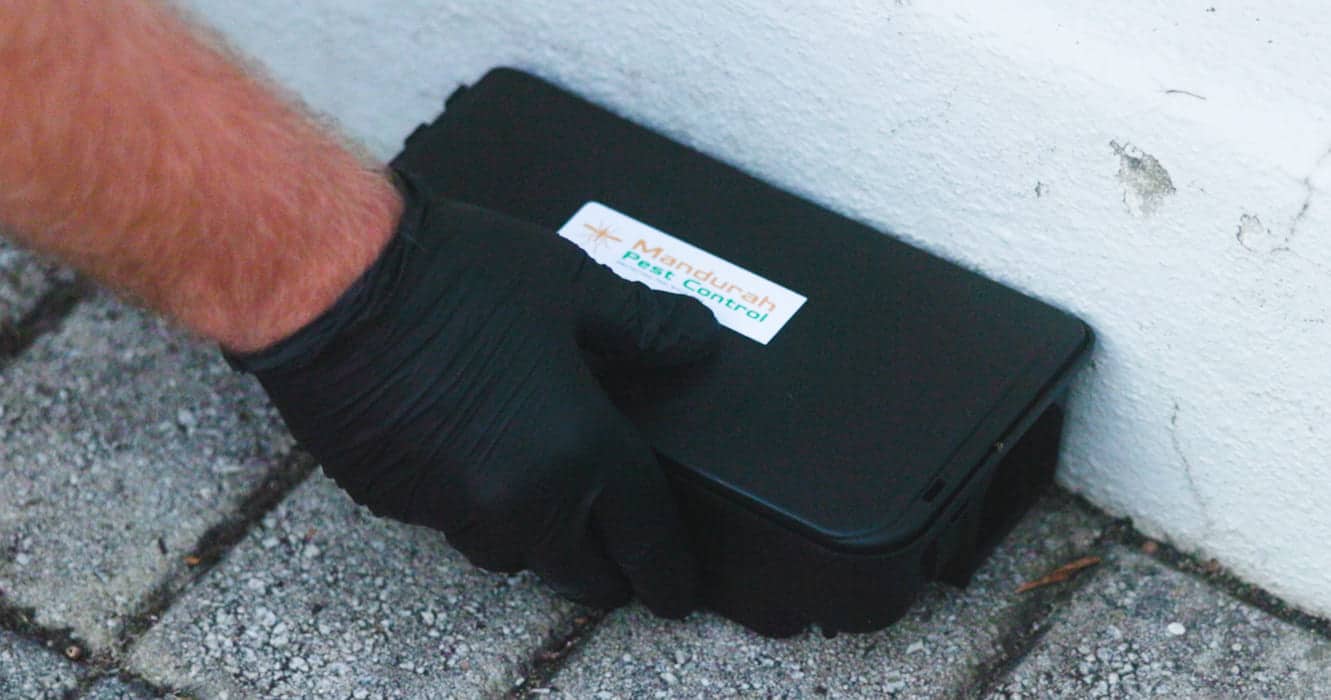 fly control mandurah