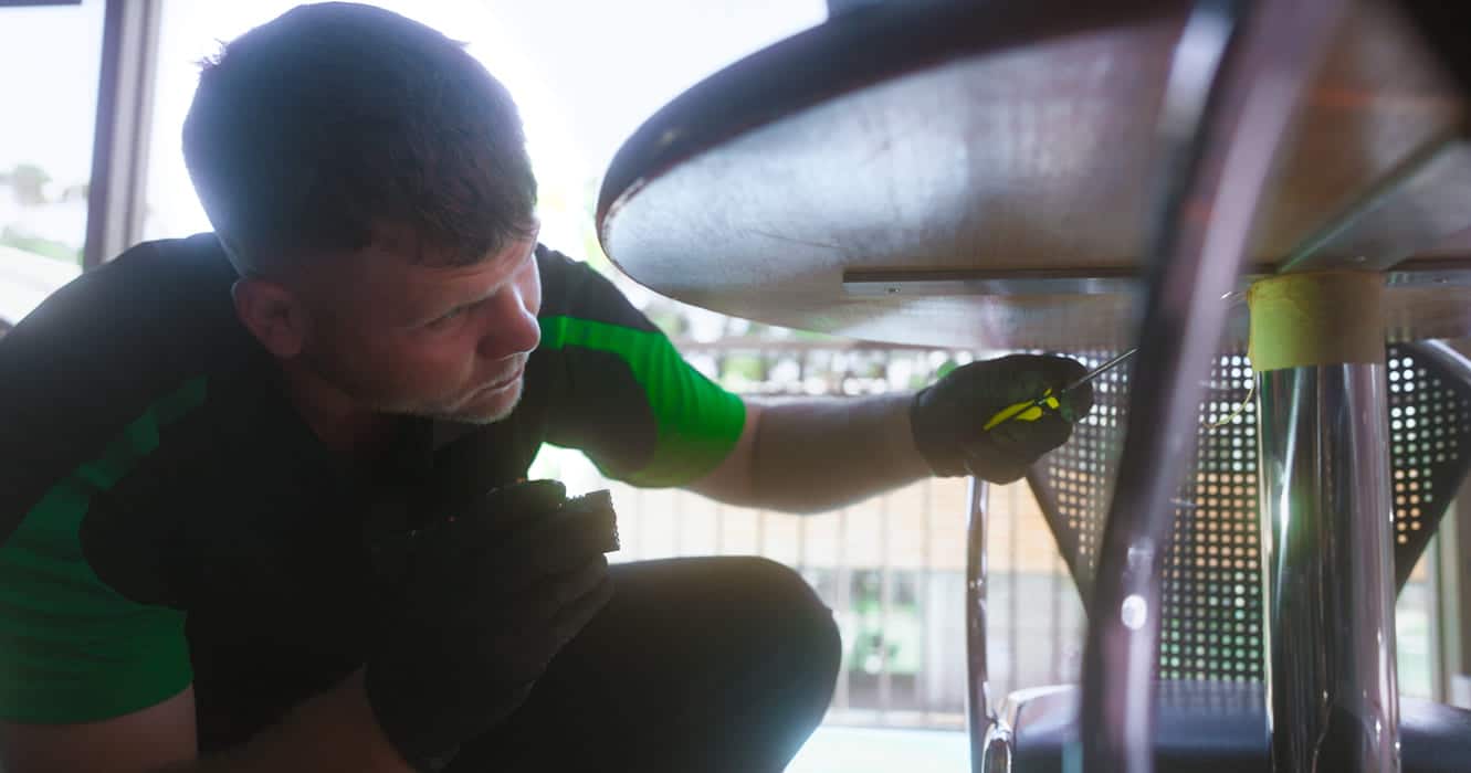 termite pest control mandurah