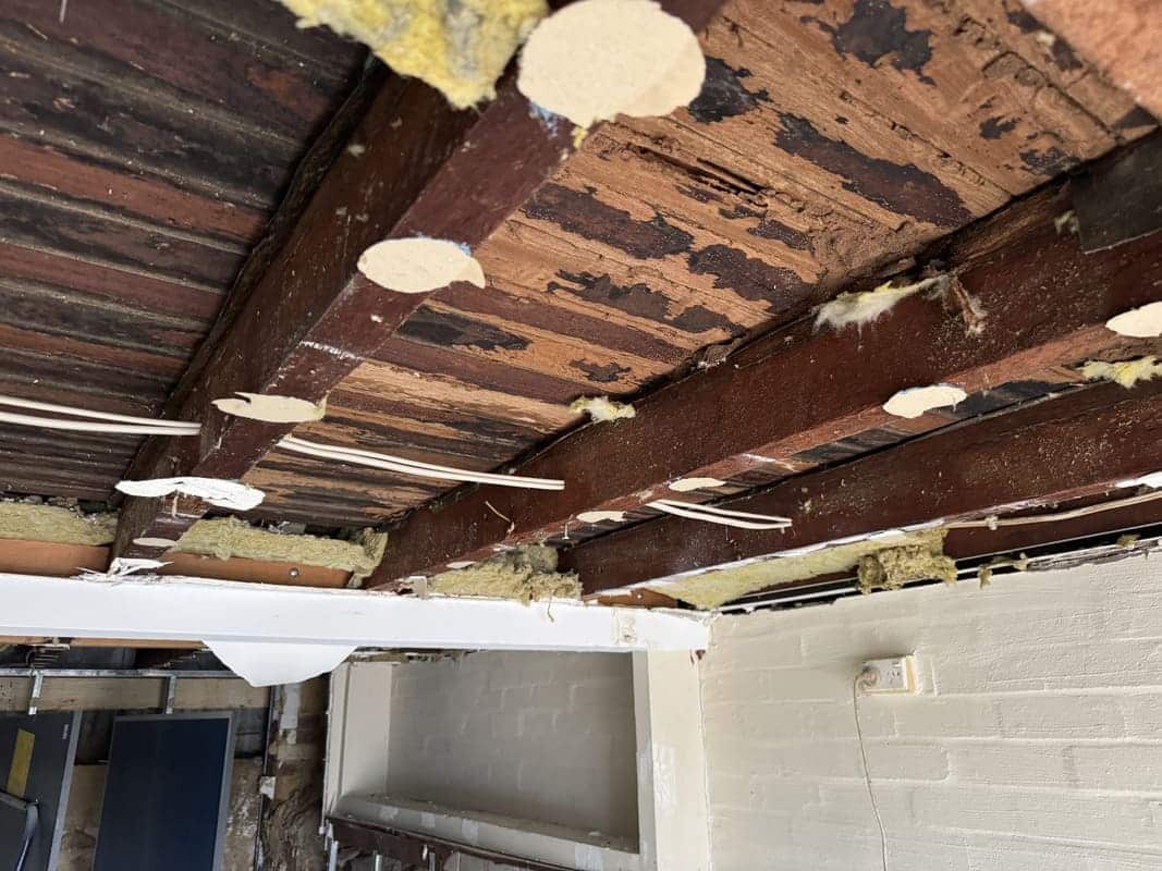TERMITE TREATMENT MANDURAH COST Mandurah Pest Control