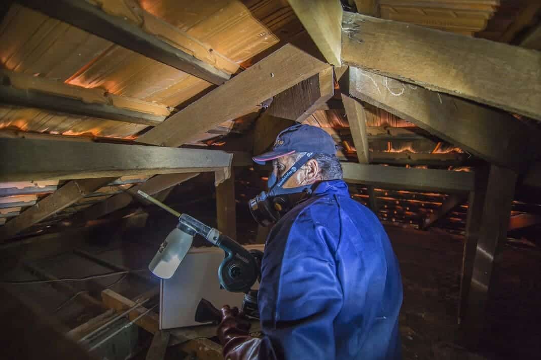 TIMBER PEST INSPECTION MANDURAH