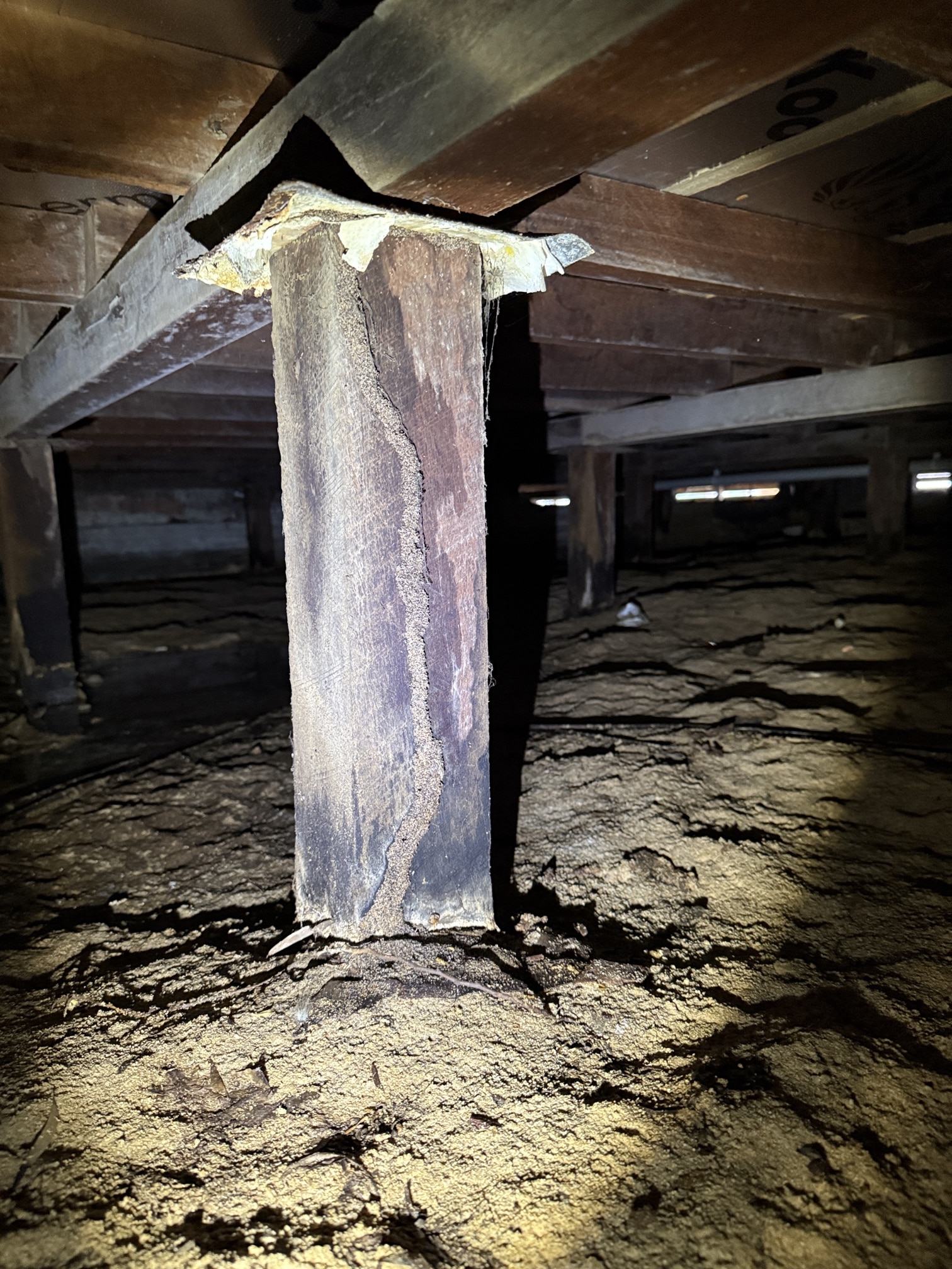 Pre Purchase Inspection Mandurah