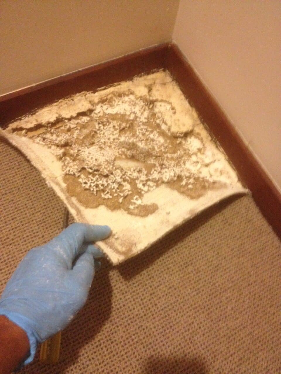 Pre Purchase Timber Inspection Mandurah